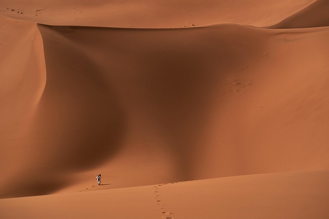 Desert exploration